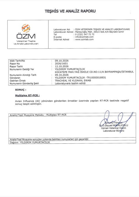 Avian influenza RT-PCR teşhis ve analiz raporu