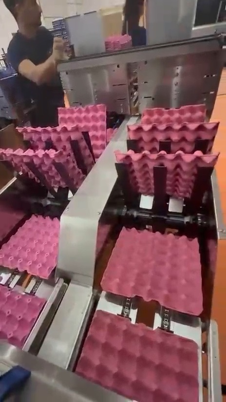 Paketleme hattında viyolleri paletleyen operatör