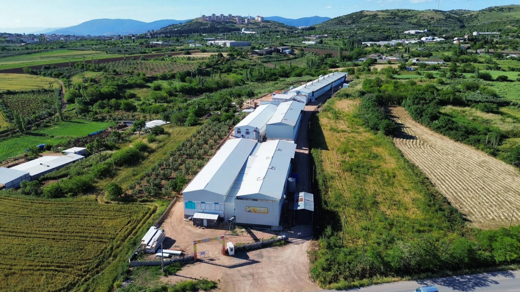 Yol kenarındaki uzun kümes binaları, havadan