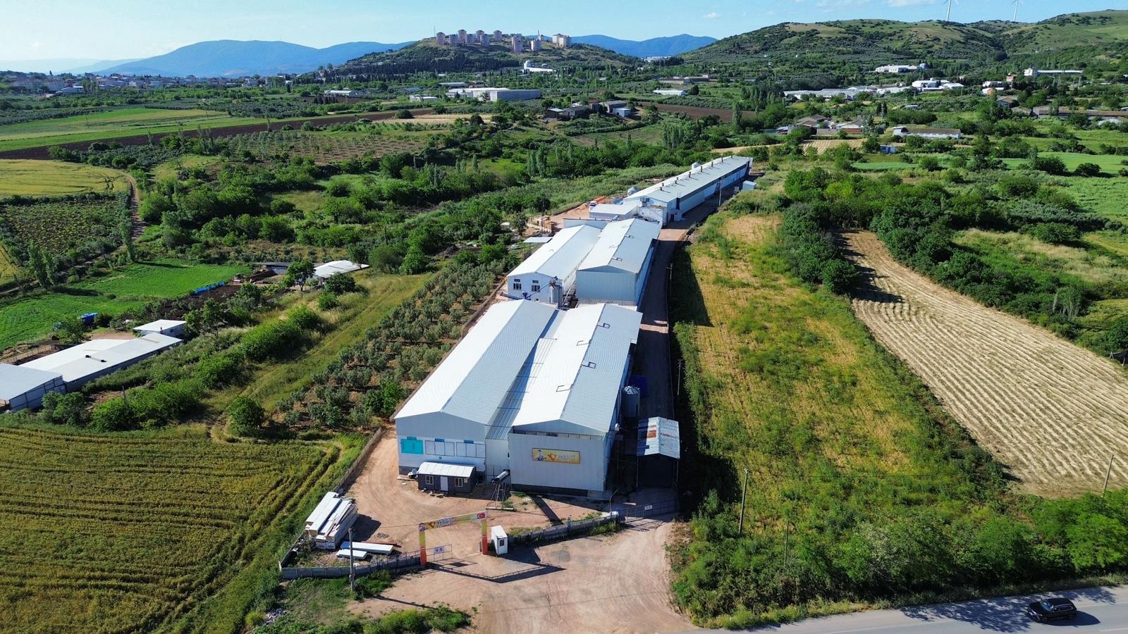 Kümes binaları ve çevresindeki araziler