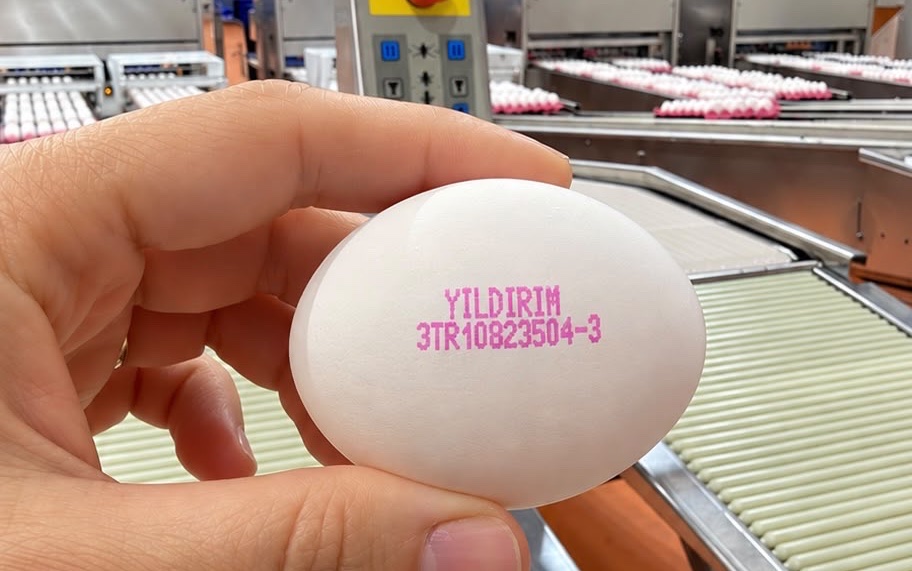 Kabuğuna YILDIRIM izlenebilirlik kodu basılmış yumurta, paketleme hattında